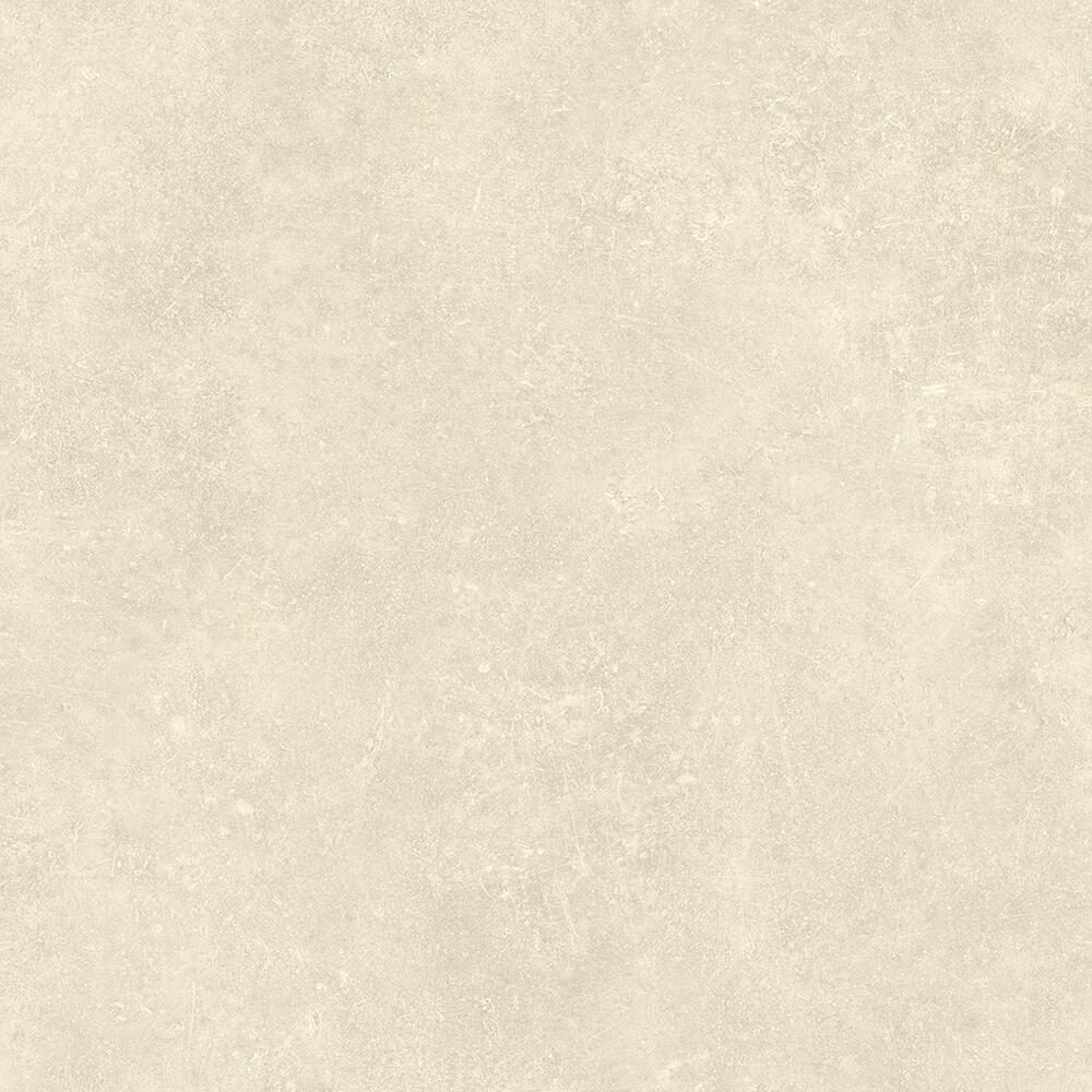 Bacopa Moonlight Street 2M